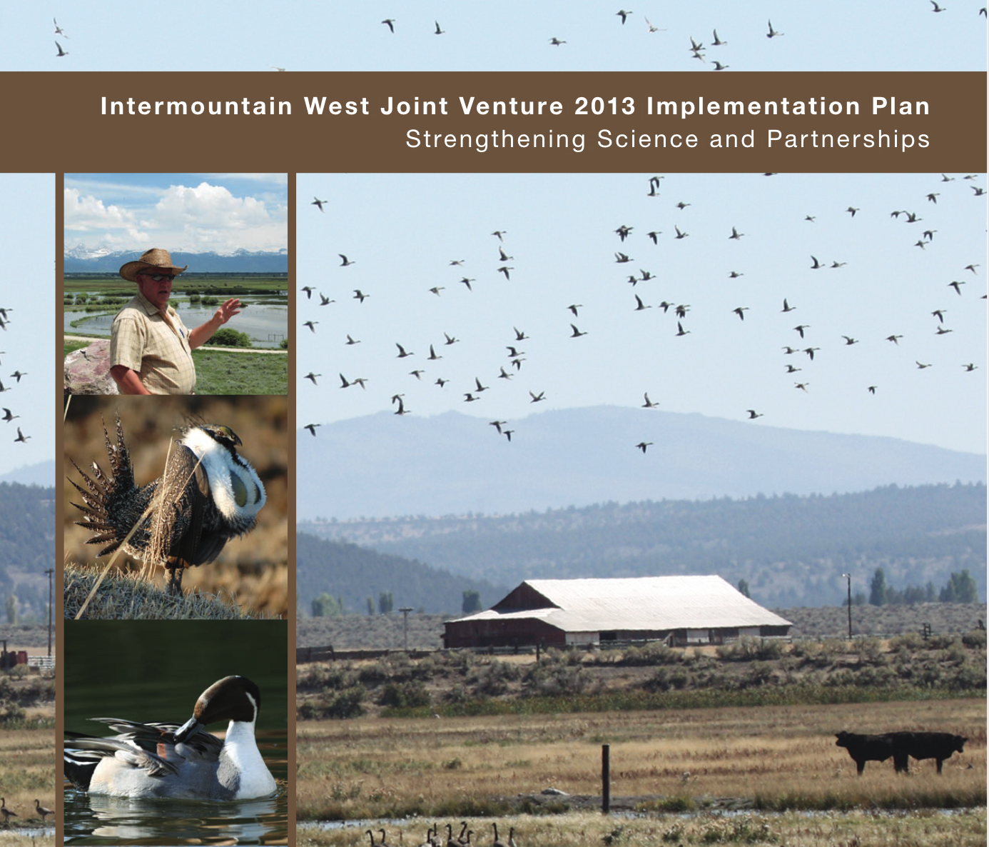 2013 IWJV Implementation Plan